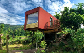 Welcome to Gerês-Green view